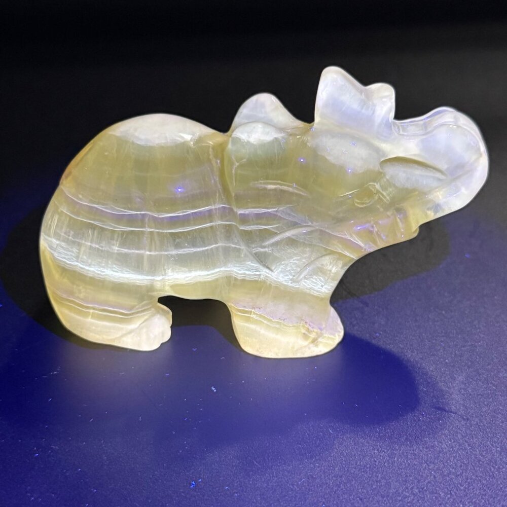 Natural Yellow Fluorite Elephant Hand Carved UVs Stone Trunk Up 4" 376g - Picture 7 of 11